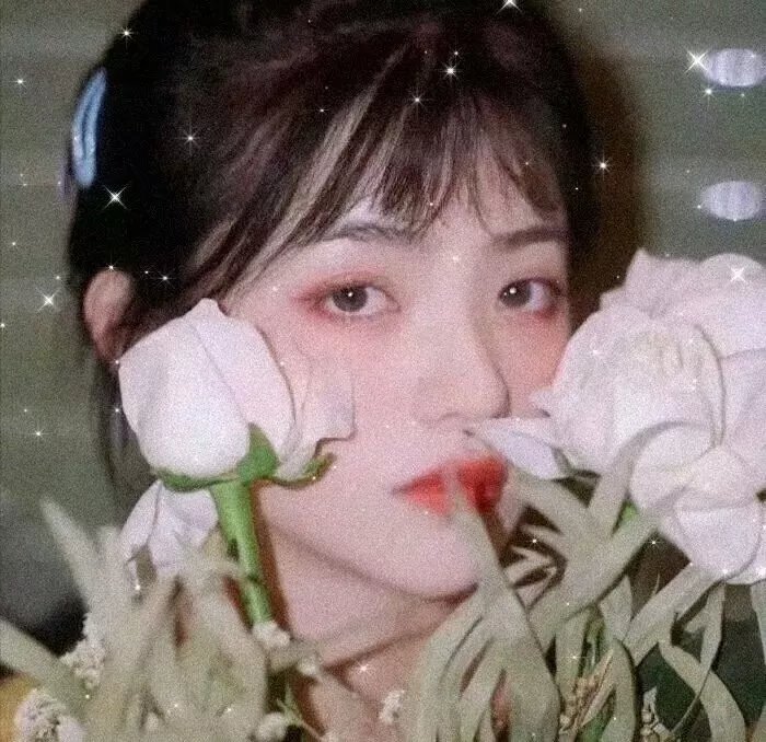 爱妹赌局